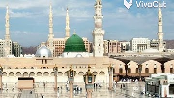 سورة الأحزاب من ايه 56 إلى 62 شهد الصبيحات 