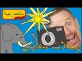 ستيف وماجي سباق رحلة سفاري لمشاهدة الحيوانات البرية | تعليم اللغة العربية للأطفال من خلال قصص مضحكة