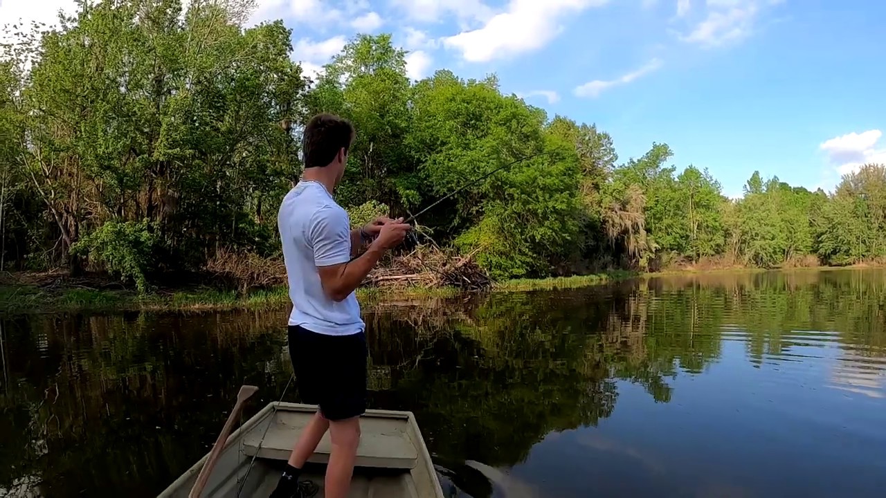 Bass Fishing Interrupted by ALLIGATOR Outdoor Adventures with Nick 3