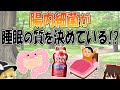 腸内細菌が睡眠の質を決めている！？【ゆっくり解説】