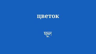 Исследуйте бенгальский язык с повседневными предметами: цветком, метлой, губкой и многим другим.