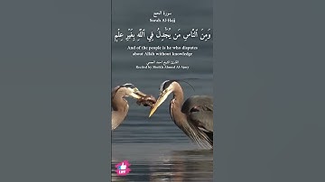 ومن الناس من يجادل في الله بغير علم | سورة الحج #دعاء_ورسالة Surah Al-Hajj