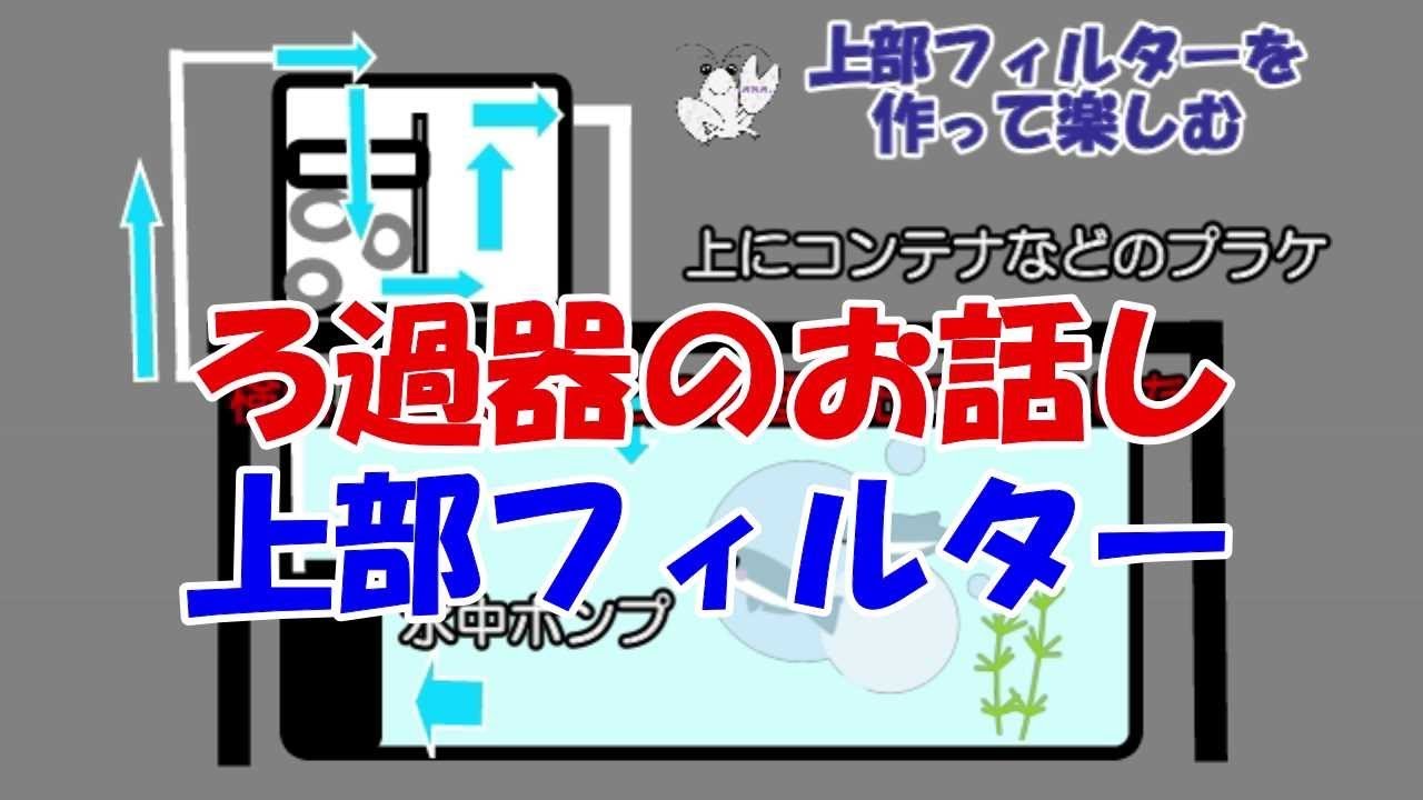 ろ過器のお話し 完 外掛け 上部 上部は自作で楽しめます 簡易開設 Youtube ろ過器のお話し 完 外掛け 上部 上部は自作で楽しめます 簡易開設 Youtube