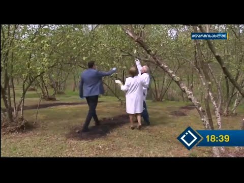 პირველად აჭარაში მოძრავი მობილური ლაბორატორია იმოძრავებს