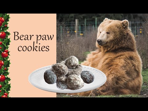 Video: Cookies „Medvědí Tlapky“v Němčině