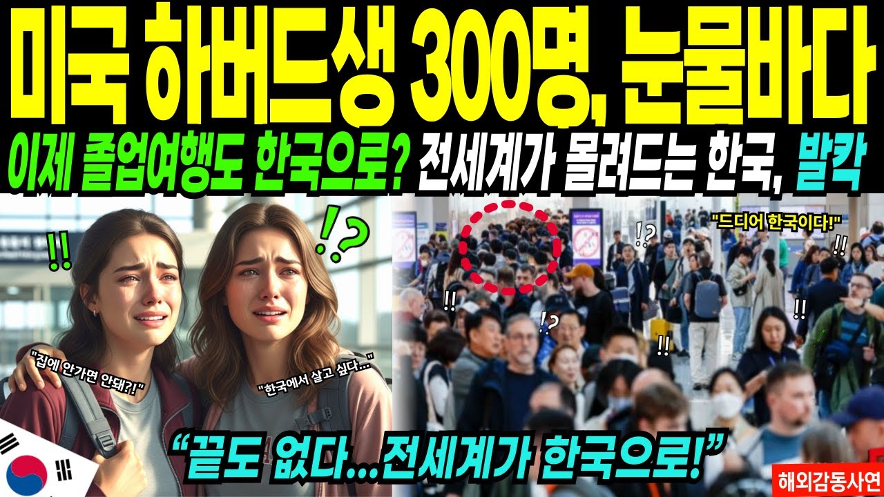 [해외감동사연]한국 졸업 여행 온 미국 하버드생들 경악한 이유에 발칵, 미국 대학생들 300명 역대급 한국 입국에 아수라장 된 인천공항