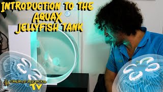 Introduction to the AquaX Jellyfish Tank | Gallery Aquatica TV