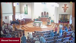 Vigil Mass, Eleventh Sunday in Ordinary Time