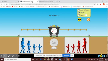 Forces & Free Body Diagrams Virtual Lab
