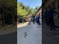 Pétanque de pointing #14 | Cannes National Tournament #pétanque #petanque2022 #petanque2023