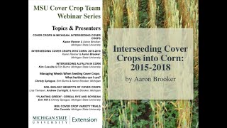 MSU Cover Crop Team Webinar Series: Interseeding Cover Crops in Corn in Michigan