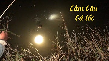 cắm câu cá , cá lốc , cắm câu mùa lạnh | fishing for a living 103