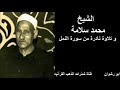 الشيخ محمد سلامة و تلاوة نادرة من سورة النمل