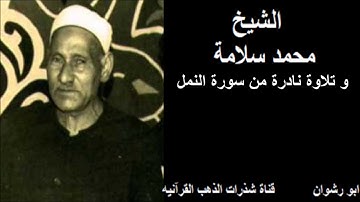 الشيخ محمد سلامة و تلاوة نادرة من سورة النمل