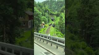 🌲 Truck Driver POV Through Beautiful Forest Roads 🚛 | Nature Drive Vibes #Shorts