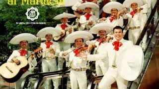 Video thumbnail of "MARIACHI SOL DE MÉXICO  - EL AGUACERO"