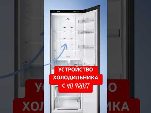 УСТРОЙСТВО ХОЛОДИЛЬНИКА С