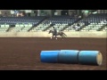 2013 Southern Horse Bonanza Expo - Elisa Wallace and Fledge