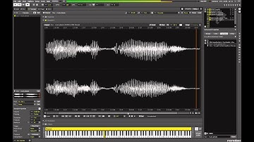 Easy sample stretch and pitch shift tutorial for Renoise 3.0