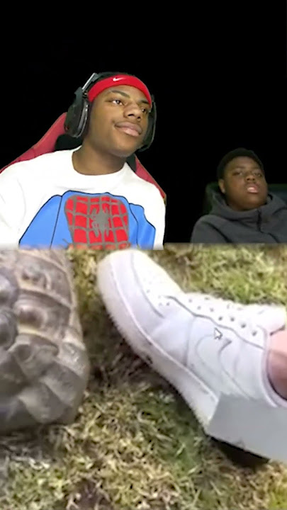 iShowSpeed Reacts To The Racist Turtle..