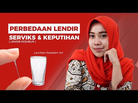 Perbedaan Keputihan Dan Lendir Serviks | Ciri-Ciri Lendir Masa Subur