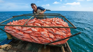This fisherman caught a lot of fish | Amazing fish trap
