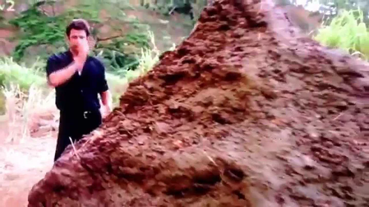 That's a pile of shit!