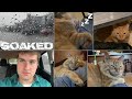 Rain And Snores Rain And Snores