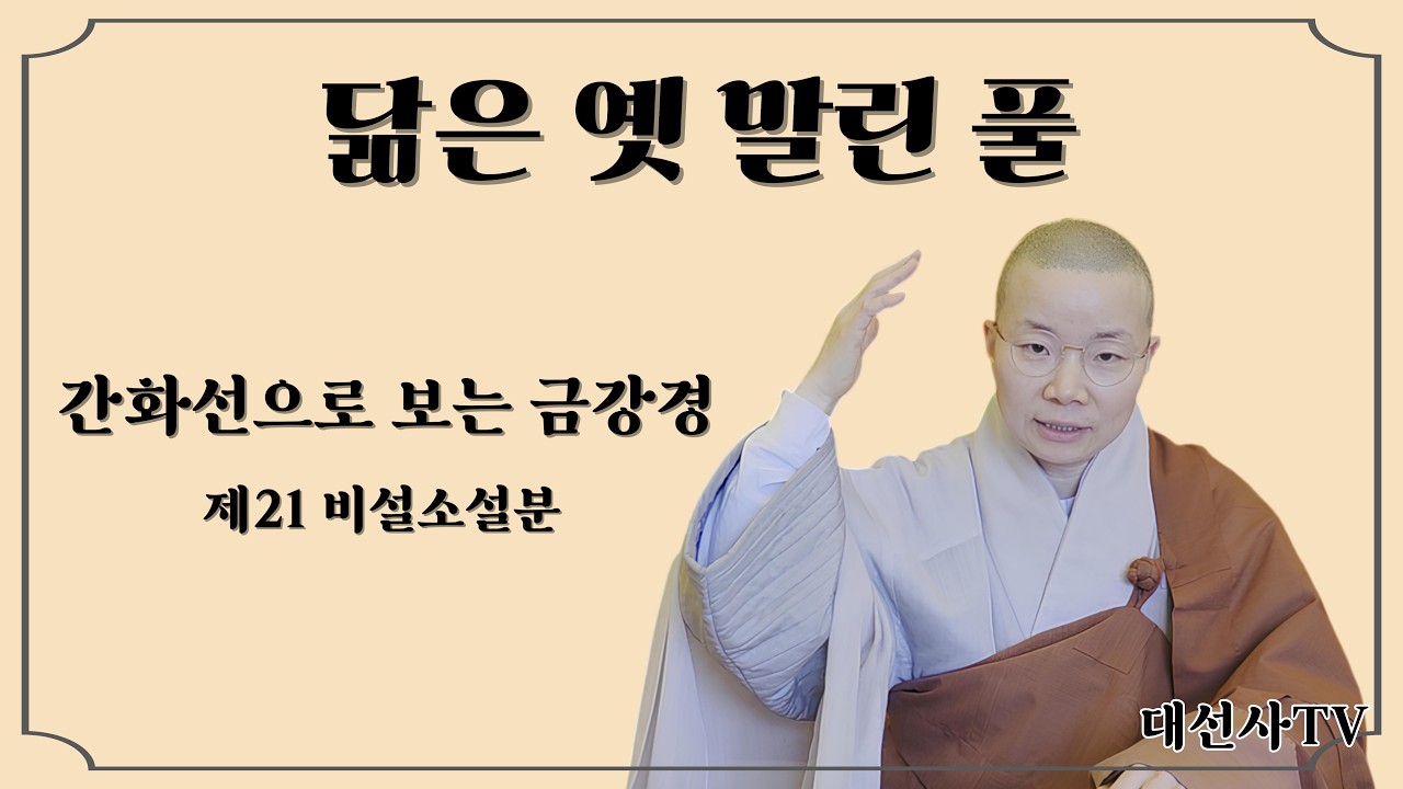 간화선으로 보는 금강경 - 제21 비설소설분
