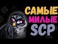 Самые Милые SCP 3