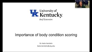 Importance of Body Condition Scoring Beef Cattle