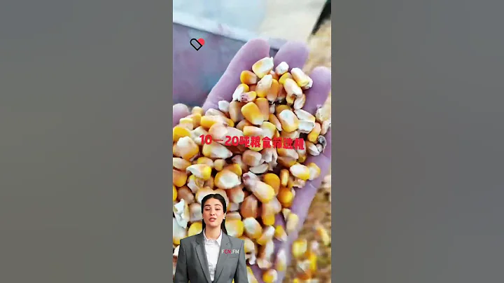 #fcnfm Discover the Advantages of Our Mobile Grain Dryer for Modern Farming