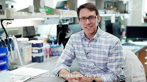 Scientists discover cellular structure of poorly understood visual brain region