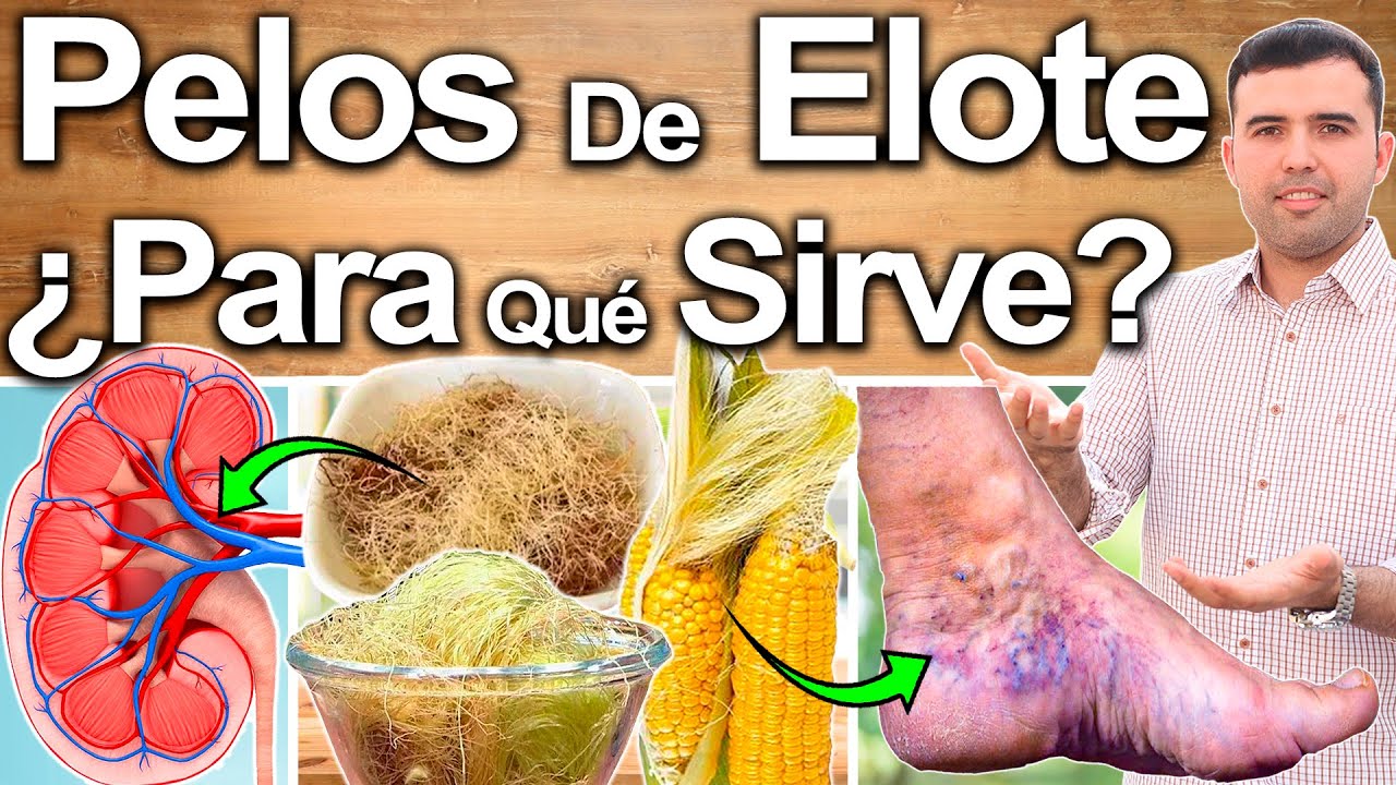 Pelos De Elote �Para Qu� Sirve? - Beneficios De Los Cabellos De Choclo O Ma�z Para Tu Salud