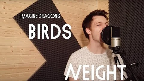 Imagine Dragons - Birds ft. Elisa (Crazy cover by Neight)