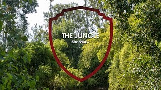 Experience The Jungle in 360° Video | Warner Bros. Studio Tour