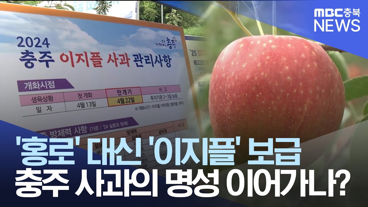 '홍로' 대신 '이지플'..'추석 사과' 공략