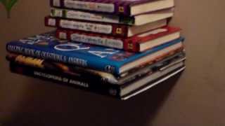 Invisible Bookshelf Review