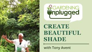 Gardening Unplugged - Tips for creating beautiful shade with Tony Avent