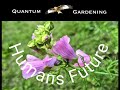Humans Future            @5DGardening 
