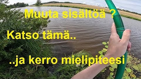 Te kysyitte - tässä vastaus