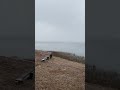 Snow Along Bogue Sound NC January 29th 2022