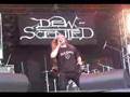 Dew-Scented # Bitter Conflict - Wacken