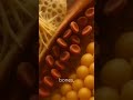 #human #physiology #tissue #education #shorts #shortvideo #shortsfeed #biology #science