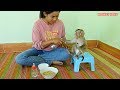 OMG!! Monkey Kako Crying Because He Cannot Wait Mom Feed Special Porridge With Vegetables