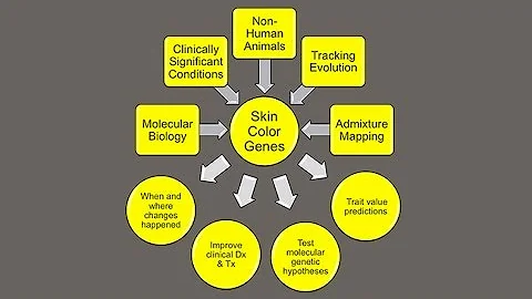 CARTA: Unique Features of Human SkinMark Shriver: ...