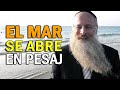 El sptimo da de pesaj se abre el mar