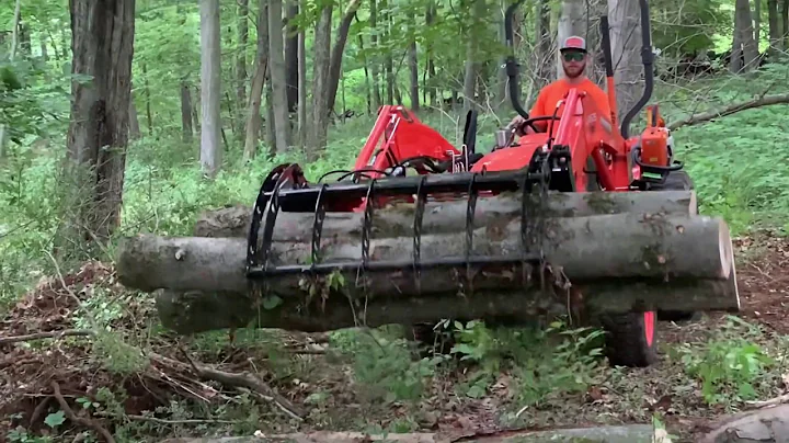 #4 New Toy! 55” Wicked Root Rake Grapple: Clearing Downed Tree