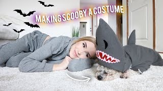 Making my puppy a costume .. hehe