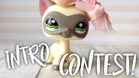 ♡LPS Intro Contest♡